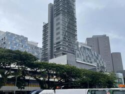 Lavender Street (D12), Office #608995271
